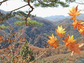 從你的全世界路過(guò)——一場(chǎng)關(guān)于相遇與離別的深度探索，相遇與離別，一場(chǎng)心靈深處的全球漫游