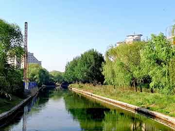 2019年北京世界園藝博覽會，綻放的綠意與全球園藝的盛宴，全球園藝盛宴，北京世界園藝博覽會展現(xiàn)綠意盎然之美