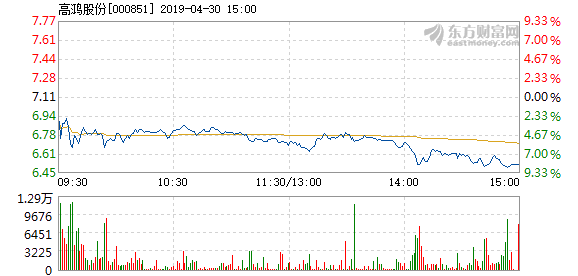 高鴻股份股票，深度解析與前景展望，高鴻股份股票深度解析與未來前景展望