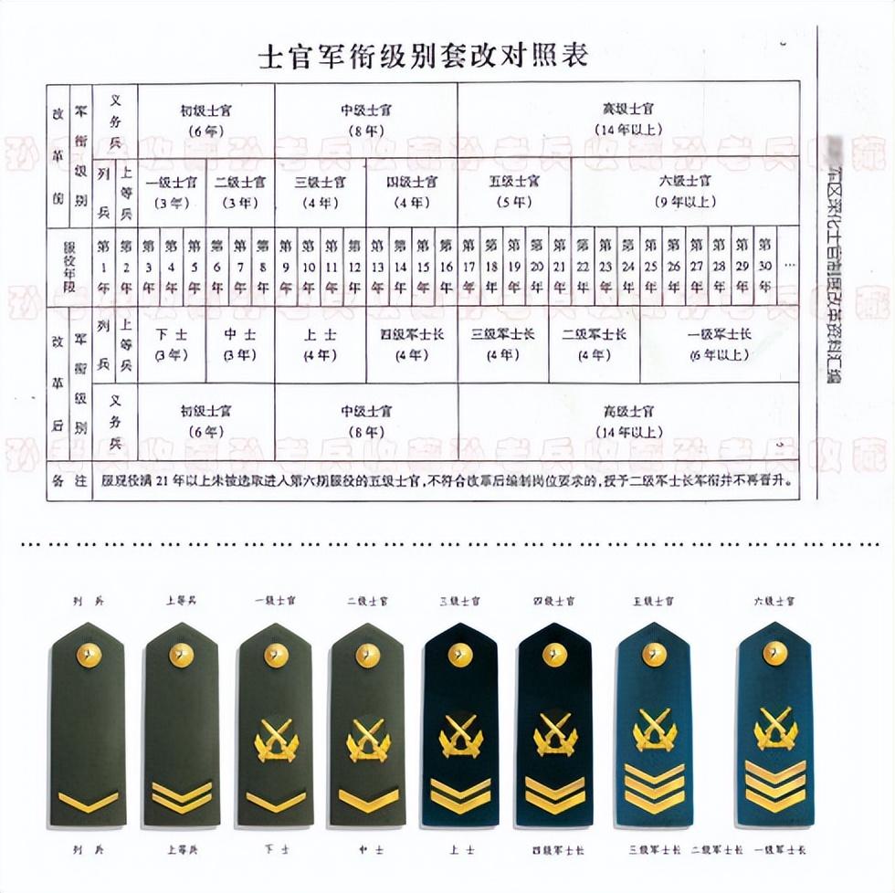 軍士長等級劃分與待遇詳解，軍士長等級劃分與福利待遇詳解