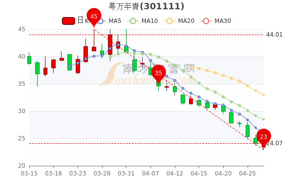 萬年青股票，投資潛力與前景展望，萬年青股票，投資潛力與未來前景展望