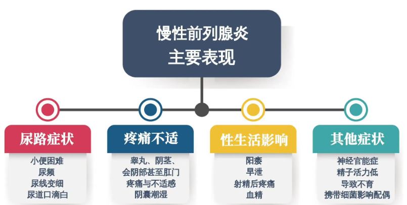 前列腺炎的癥狀、危害性及防治策略，前列腺炎的癥狀、危害與防治策略全解析