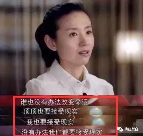 潘粵明頂頂親子鑒定的背后故事，真相與誤解的交織，潘粵明頂頂背后的親子鑒定真相與誤解揭秘