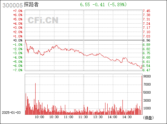 股票300005，深度解析與前景展望，股票300005深度解析與未來前景展望