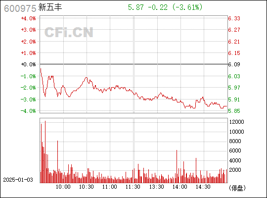 新五豐股票行情深度解析，新五豐股票行情深度剖析與解讀