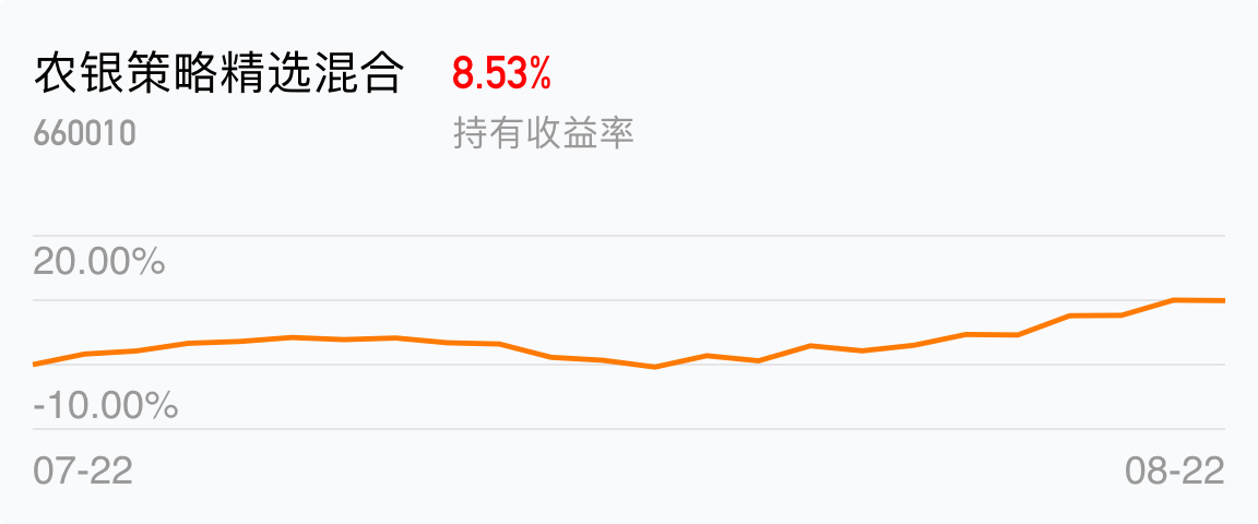 基金660010，深度解析與投資策略，基金660010深度解析與投資策略探討