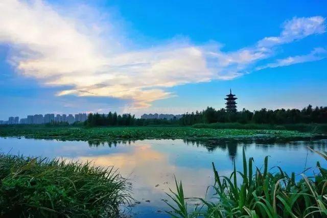 長沙洋湖濕地公園門票價格詳解，長沙洋湖濕地公園門票價格全解析