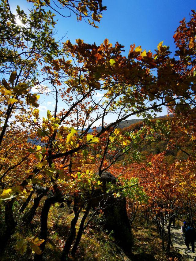 探索牡丹江，一覽眾多魅力無(wú)窮的旅游景點(diǎn)，牡丹江探秘，無(wú)限魅力的旅游景點(diǎn)大盤點(diǎn)