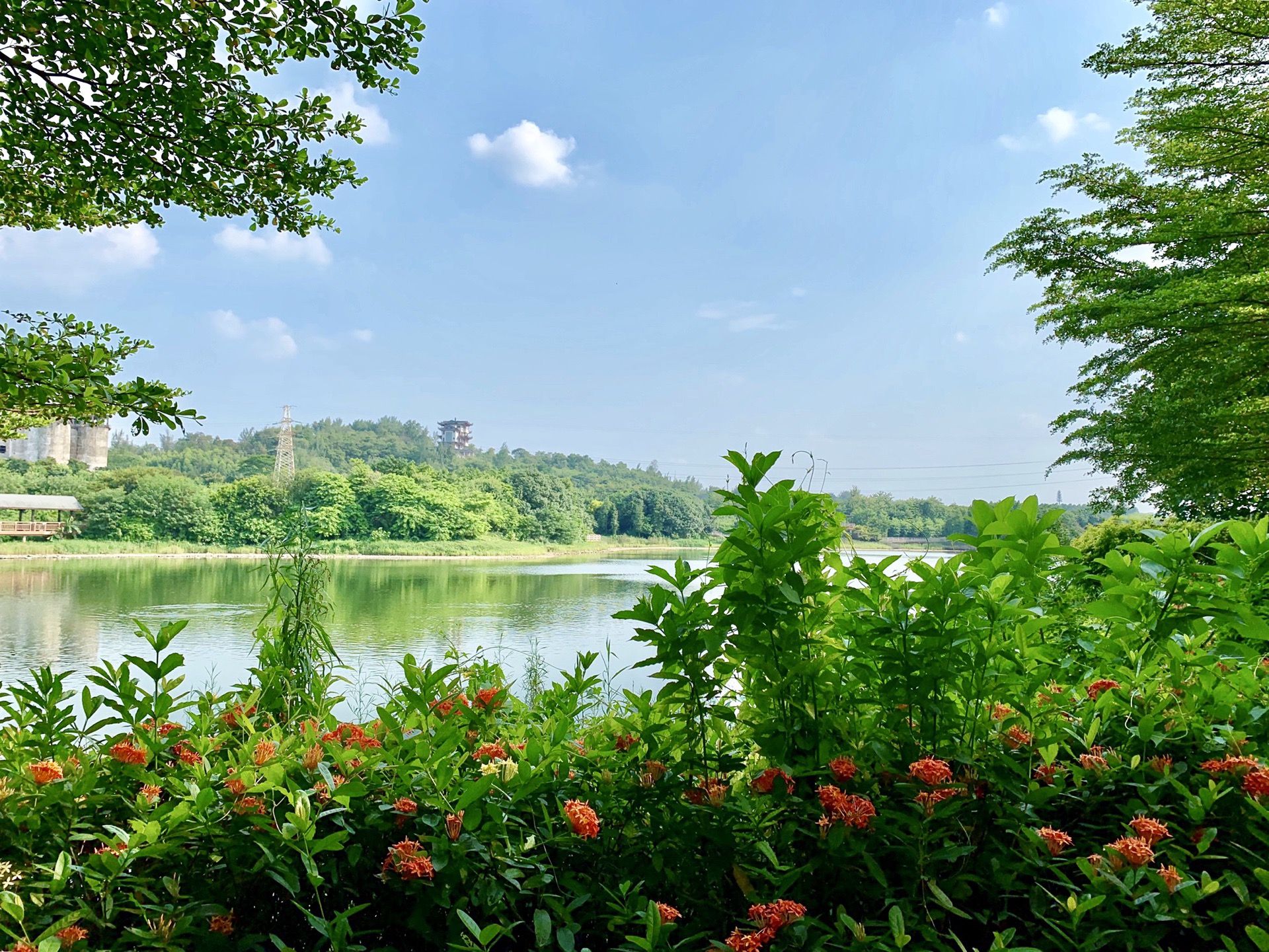 花都湖公園景點介紹——領略自然之美，花都湖公園，自然之美的絕佳領略地