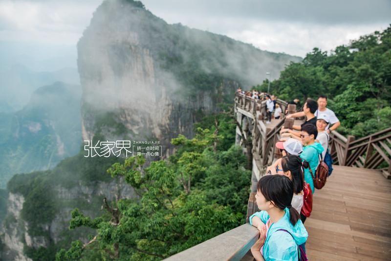 張家界自由行還是跟團(tuán)游，探索之旅的最佳選擇，張家界自由行還是跟團(tuán)游，探索之旅的最佳選擇對比