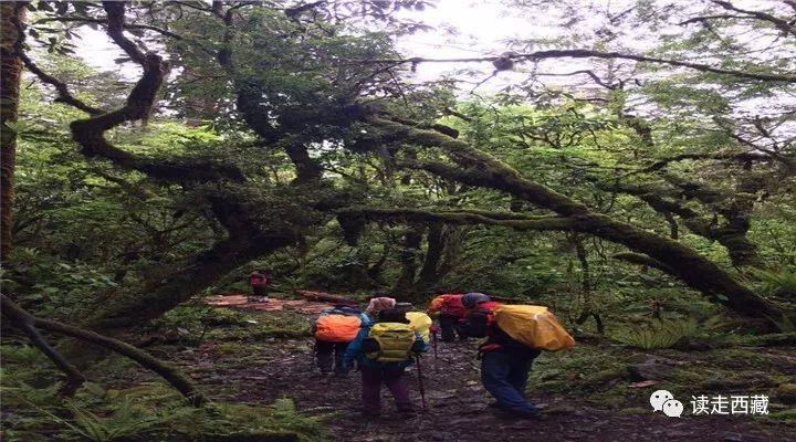 西雙版納旅游路線規(guī)劃攻略，西雙版納旅游路線規(guī)劃攻略大全