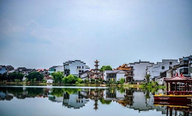 森林公園有什么好玩的——探索自然之美的絕佳去處，森林公園探險指南，自然之美的絕佳探索地