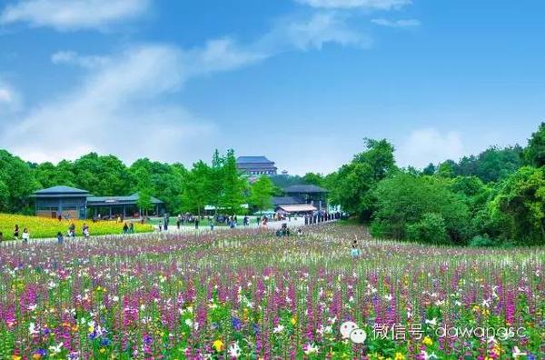 石象湖景區(qū)門票價格詳解，石象湖景區(qū)門票價格全面解析