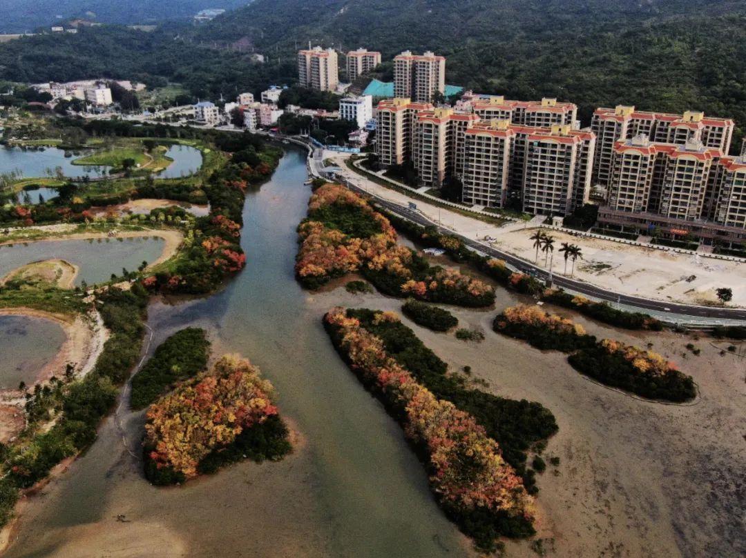 深圳大鵬半島旅游攻略，探索自然之美與文化的融合，深圳大鵬半島，自然之美與文化融合之旅的旅游攻略