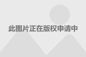 登封少林寺門票價格詳解，登封少林寺門票價格全面解析