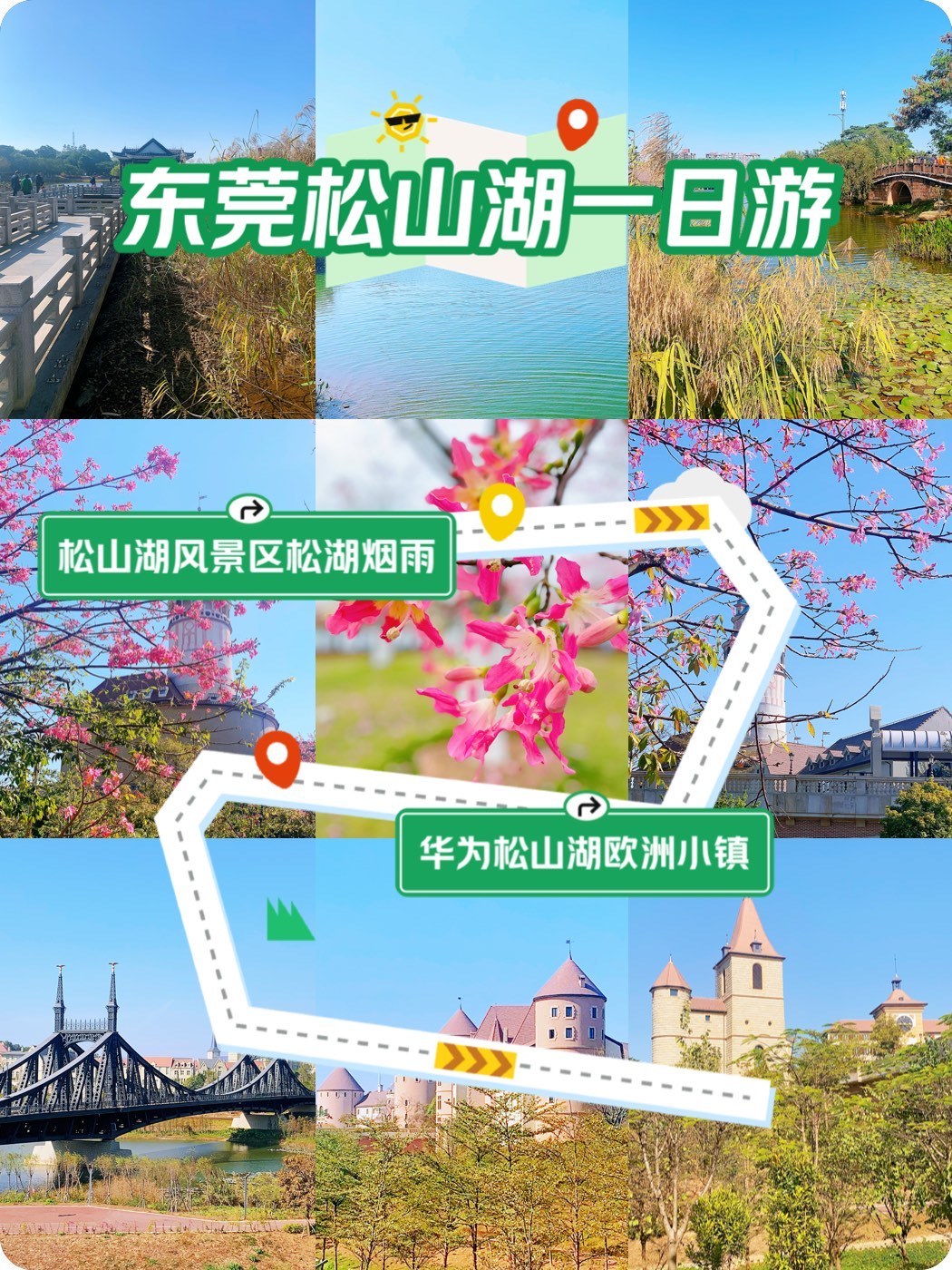 自然與科技的完美交融探索之旅（或自然科技探索）