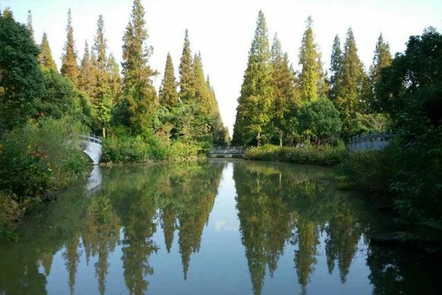 崇明東平國(guó)家森林公園門(mén)票攻略，探索自然之美的入場(chǎng)券，崇明東平國(guó)家森林公園門(mén)票攻略，探索自然美景的必備入場(chǎng)券